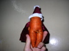 carrot with a penis