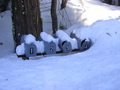 Mailboxes (snow)