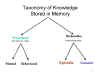 Taxonomy of
                Knowledge Stored in Memory