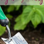 introduction-to-organic-gardening-pin