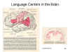 age
                Centers in the Brain