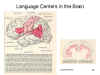 Language Centers in the Brain
