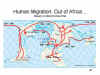 Human Migration