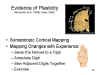 Evidence of Plasticity