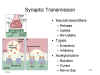 Synaptic Transmission