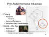 Post-Natal
              Hormonal Influences