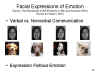 Facial
              Expressions of Emotion