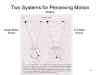 Two Systems
              for Perceiving Motion