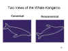 Two
              Views of the Whale-Kangaroo