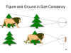 Figure and Ground in Size Constancy