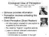 Ecological View of Perception