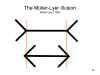 The
              Muller-Lyer illusion