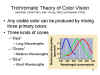Trichromatic Theory of Color Vision
