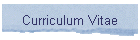 Curriculum Vitae