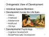 Ontogenetic View of Development