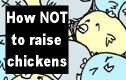 How NOT to raise chickens: a guide for urban farmers