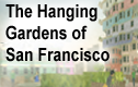The Hanging Gardens of San Francisco