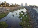 Irvine apartments and buildings