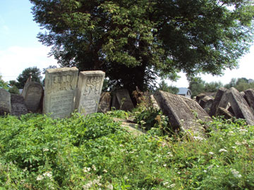 The Jewish cemetery in Burshtyn
