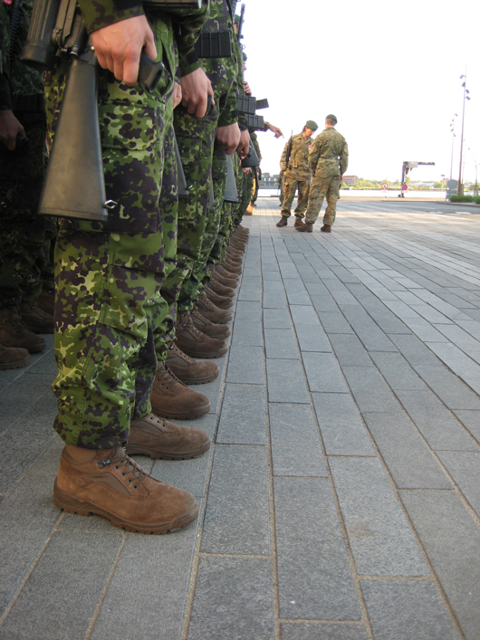 Soldiers lined up for inspection