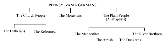 Figure 1: Diagram of Amish groups