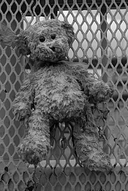 The Man The Myth The Legend Teddy Bear Russell 