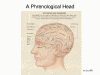 A
                Phrenological Head