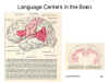 Language Centers in the Brain