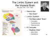 The Limbic
              System and the Visceral Brain