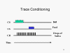 Trace
                  conditioning