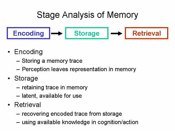 memory encoding storage retrieval