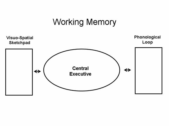 Бэддели ваша память. Модель рабочей памяти. Модель Бэддели Хитча.