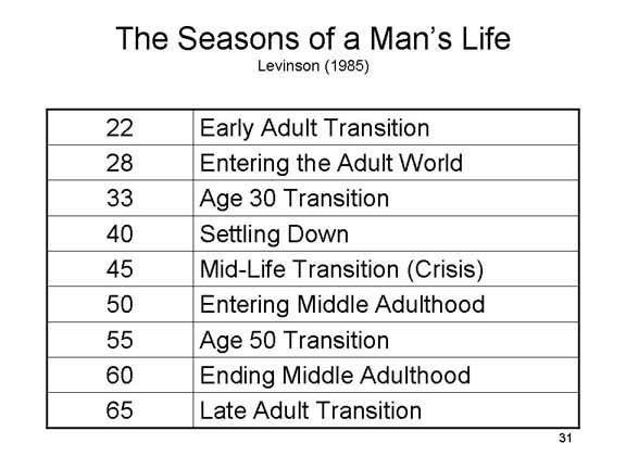 Daniel levinson essay 05 image