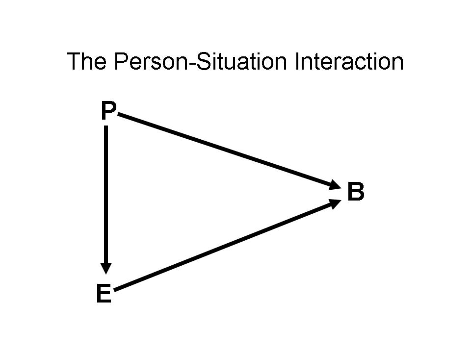 Person-Situation Interaction