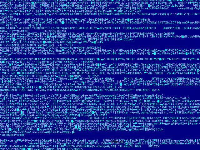computer screen of fuzzy running codes