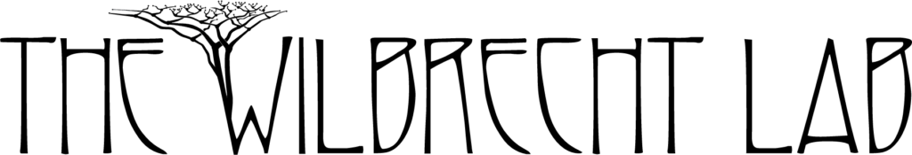 Wilbrecht Lab Logo