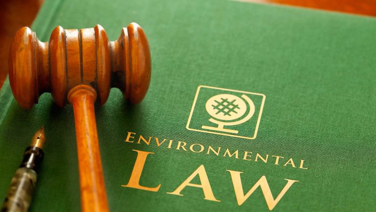 A Rising Form of Environmental Activism: Litigation