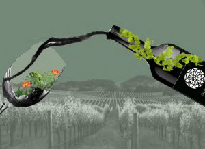 Sonoma County: The Future of Eco-Friendly Wine?