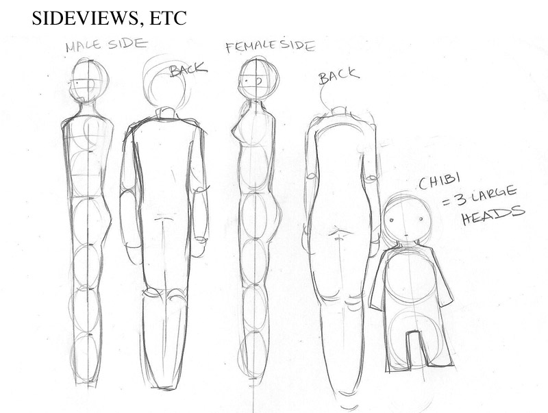 Featured image of post Manga Boy Body Proportions Idk what to do i think i m going to die