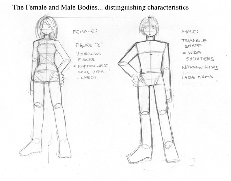 Anime De-Cal standing figure profile diagram 