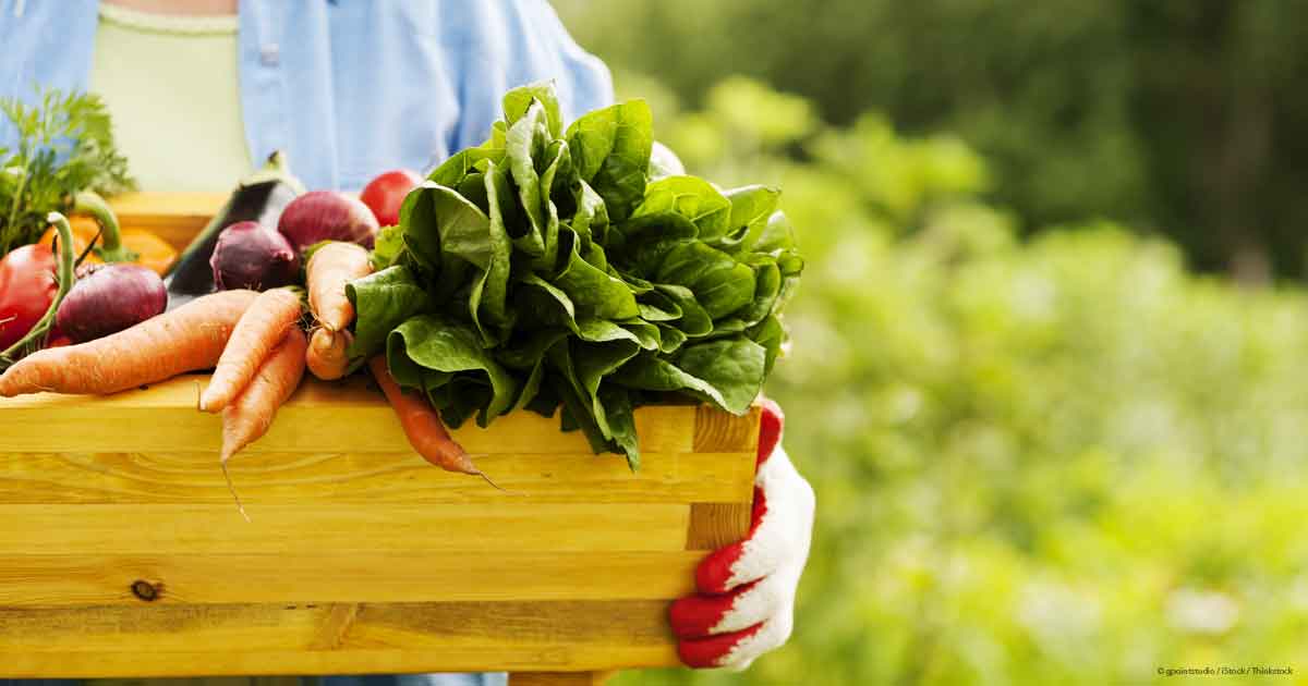Organic Foods: Are They Better for You?
