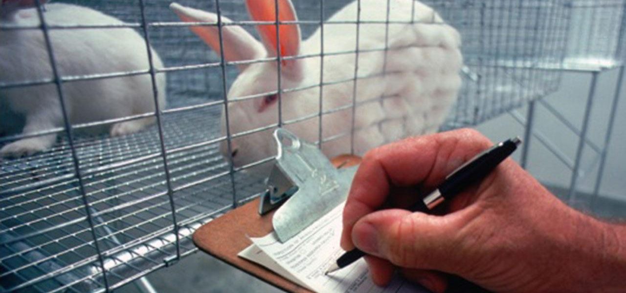 The Debate on Animal Experimentation – Sather Health