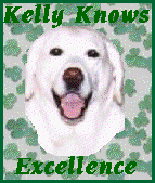 Kelly Knows Excellence Award