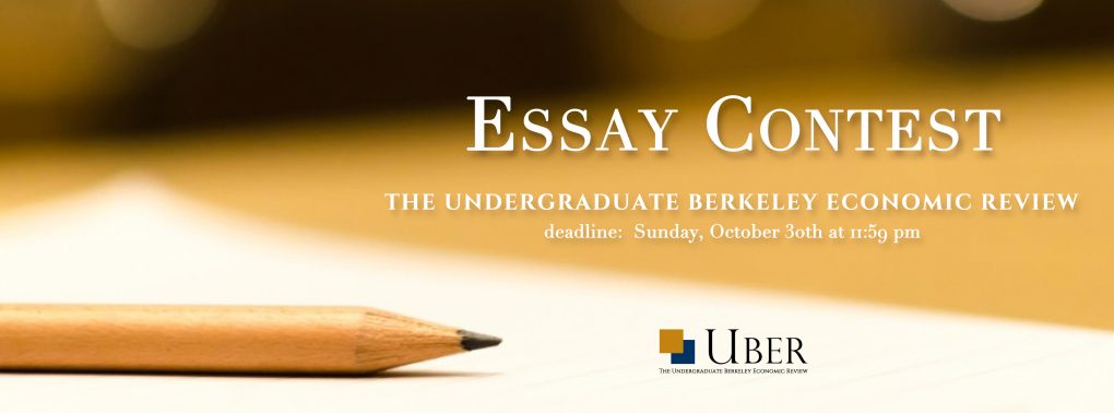 Economics essay competition undergraduate